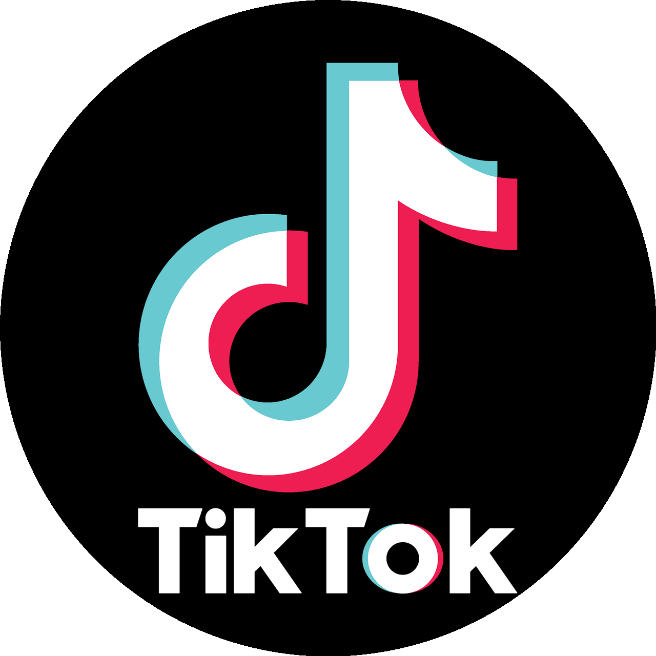TikTok - Leading Social Media Platform